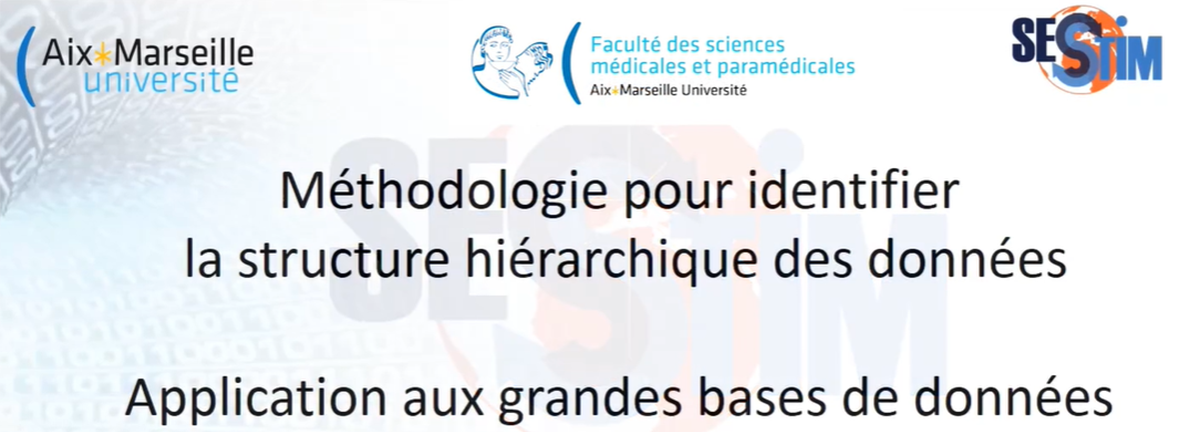 Méthodologie pour identifier la structure hiérarchique des données - Methodology for identifying the hierarchical structure of data