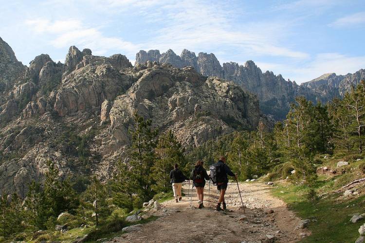 Aiguilles