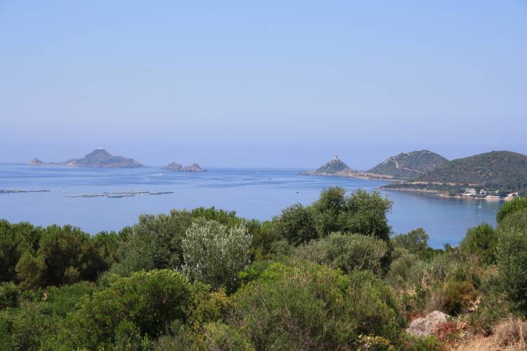 Iles