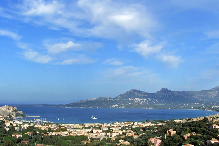 Calvi